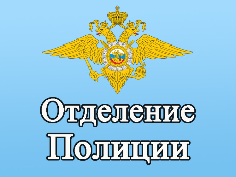 Народный участковый - 2024.