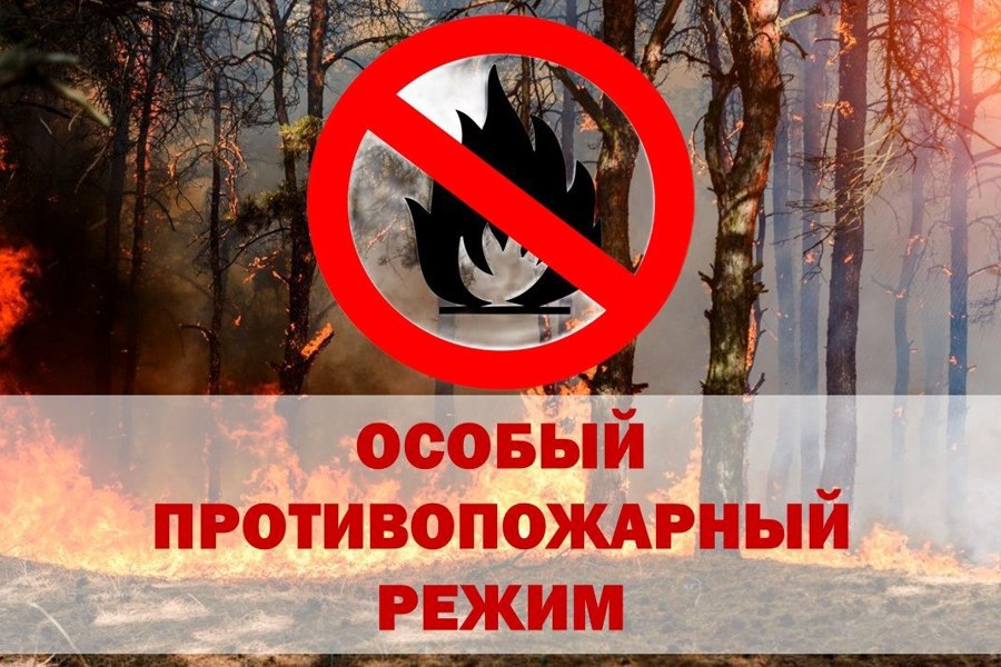 На территории региона Указом Губернатора Архангельской области с 29 мая до 06 июня установлен особый противопожарный режим в лесах..