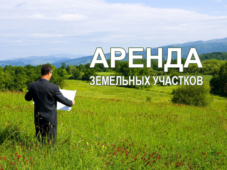 Извещение о возможности предоставления земельных участков в д. Морщихинская.