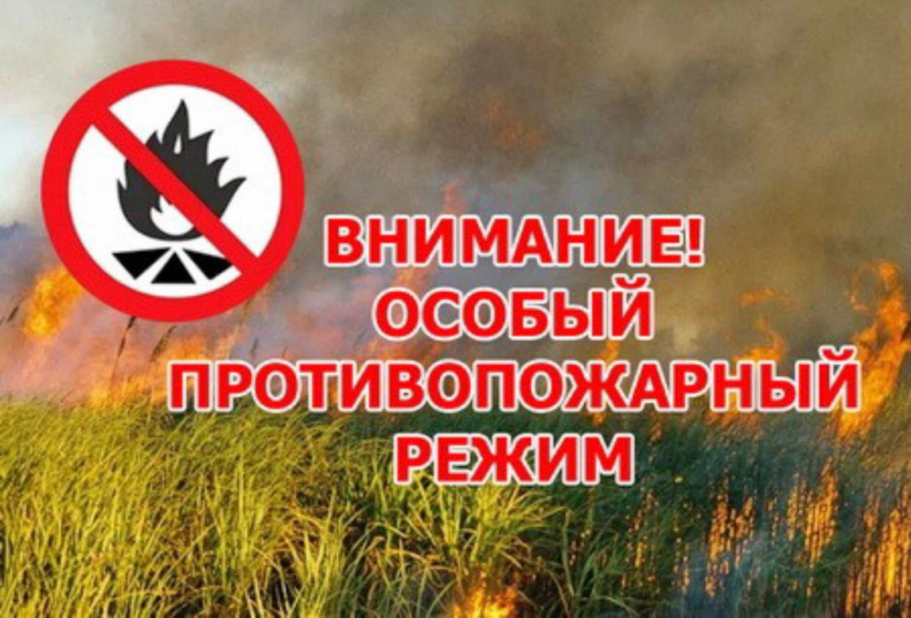 Напоминаем с 25 июля в Архангельской области действует особый противопожарный режим..